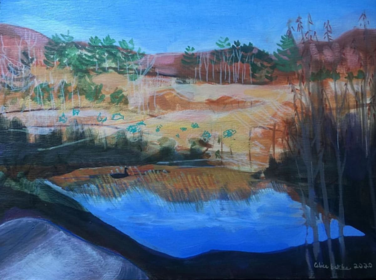 Quarry with duck by Alice Eckles 