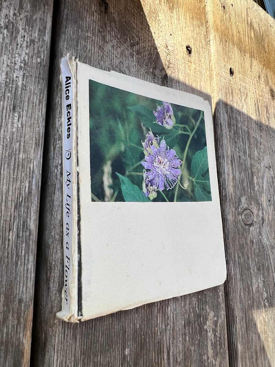 My life as a flower by Alice Eckles  Image: Handmade book of poetry, limited edition