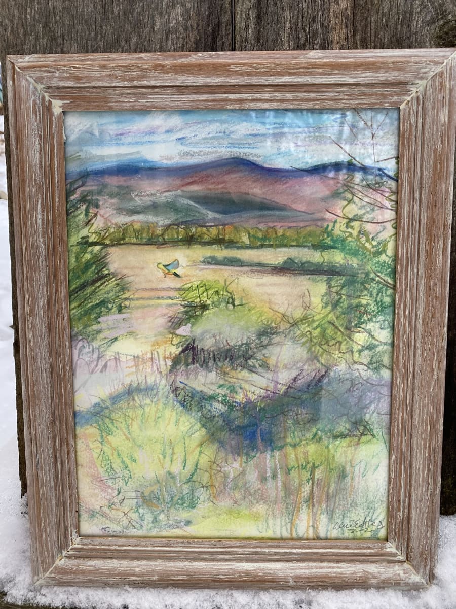 Cornwall Swamp by Alice Eckles 