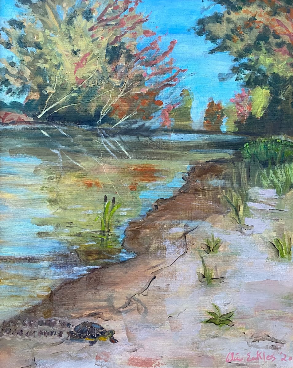 3mile bridge site and turtle 