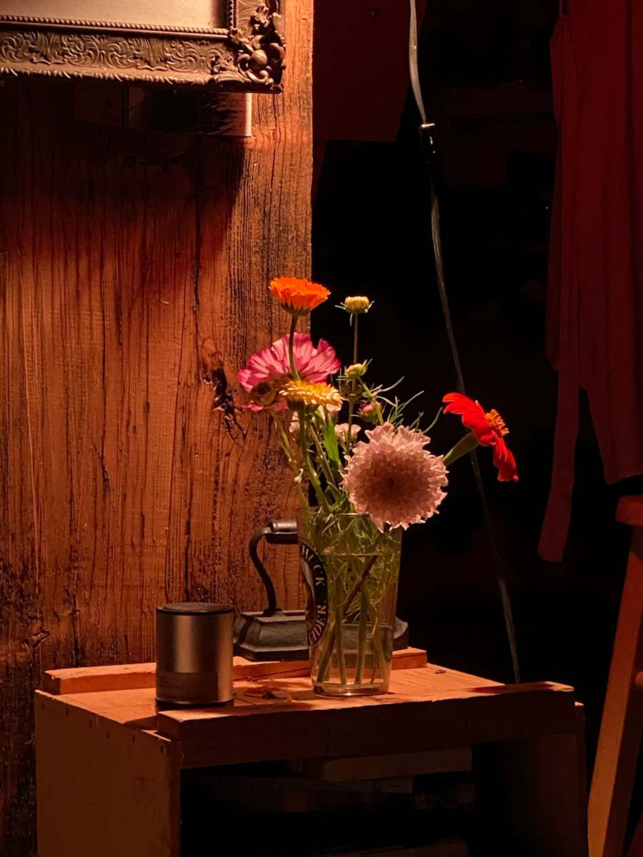 Still life photo batch 1 by Alice Eckles  Image: 1