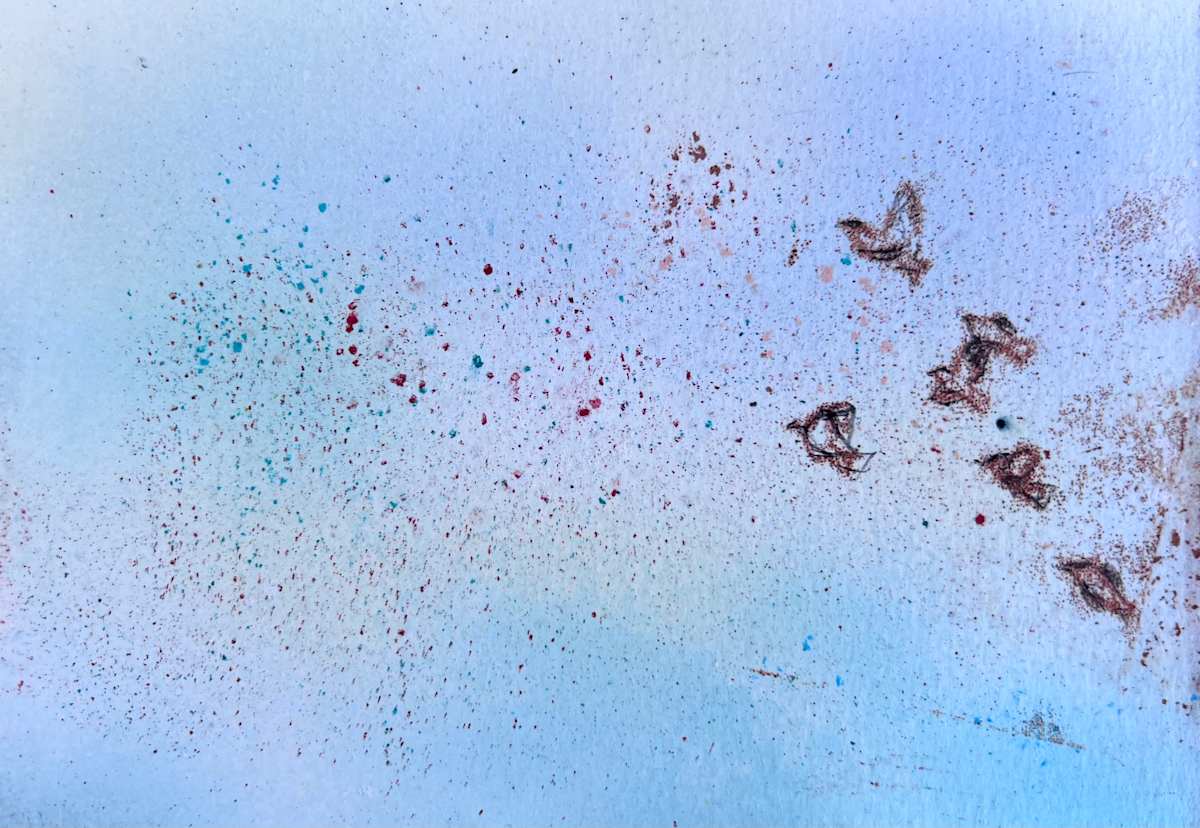 Fly into beauty by Alice Eckles, Image 1.