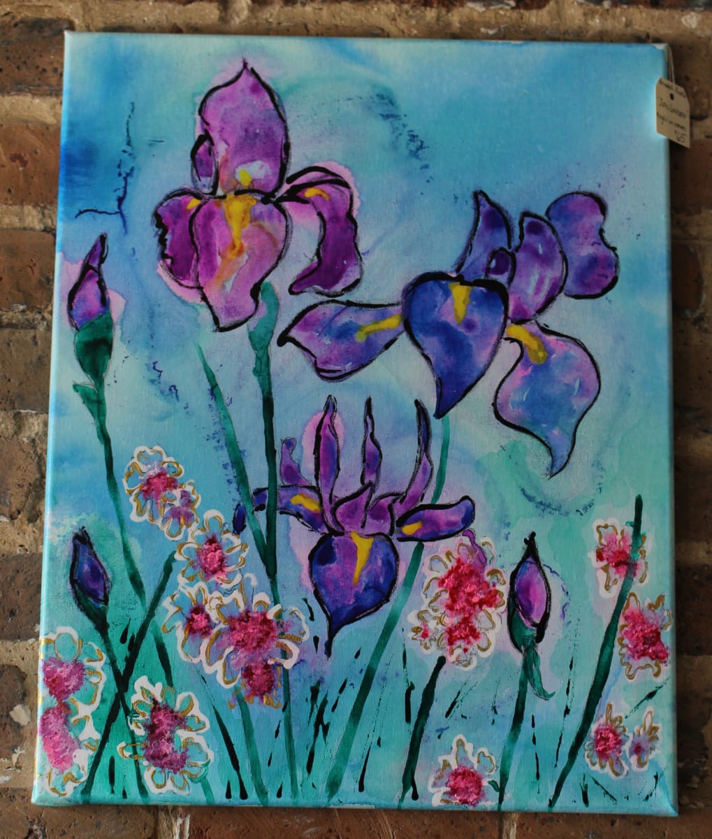 Iris Blooms 