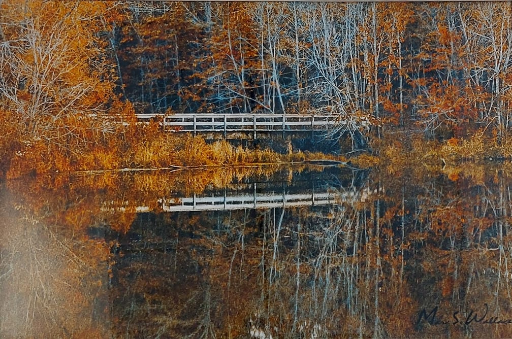 Reflections of Fall by Marc Wallace 