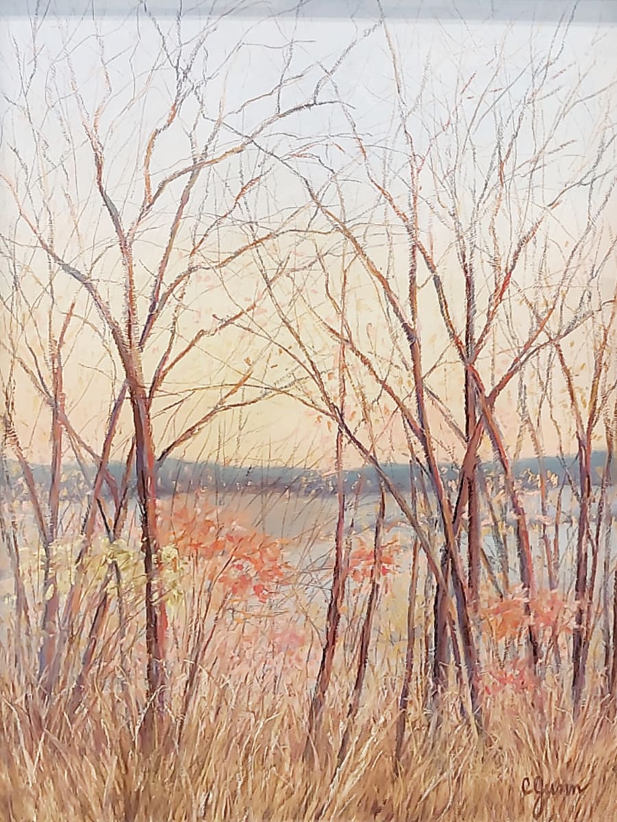 Afternoon Glow by Carol Gunn 