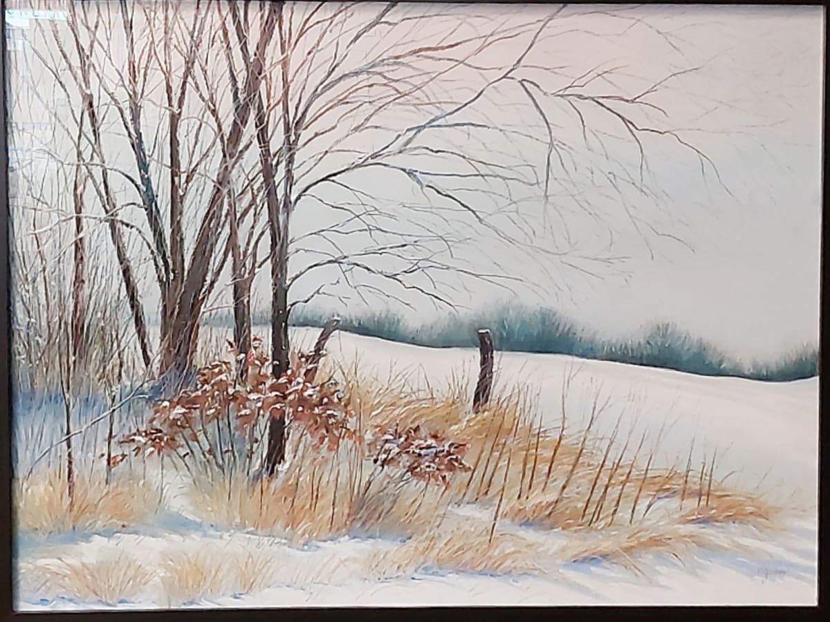 White Blanket by Carol Gunn 