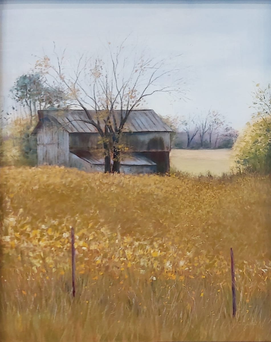 Old Gray by Carol Gunn, Image 1.