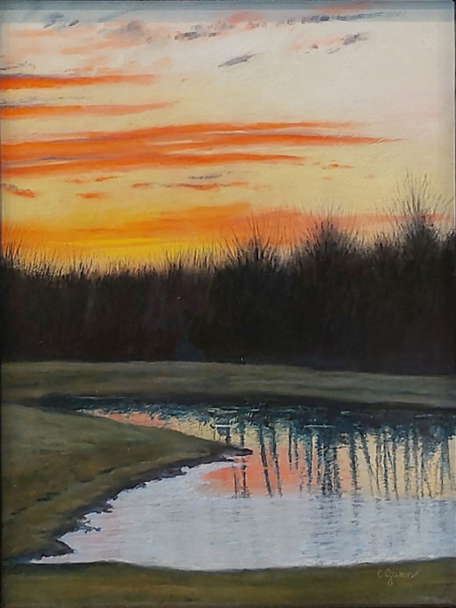 Sunrise Reflection by Carol Gunn 