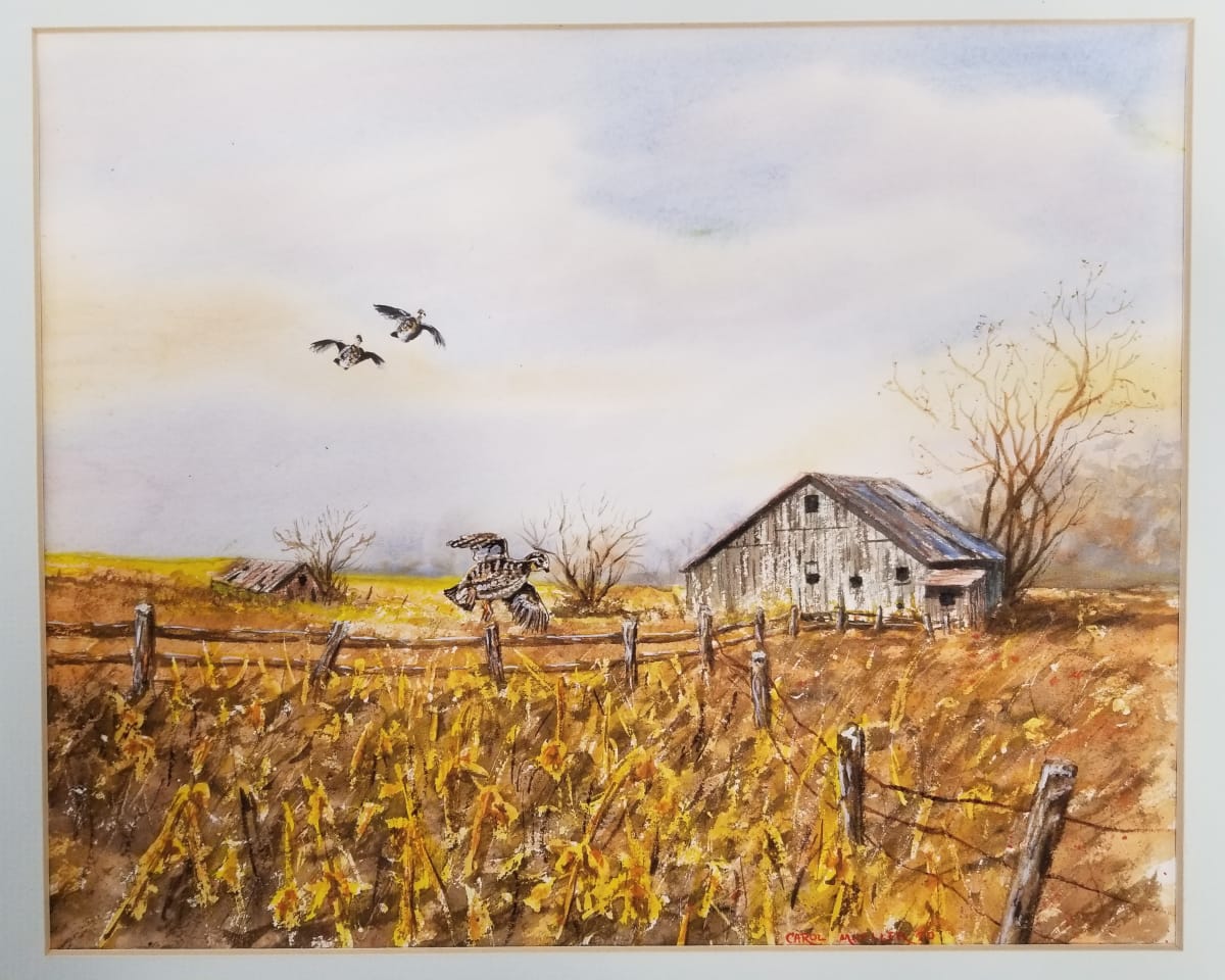 Barn and Quail Watercolor by Carol Mueller 