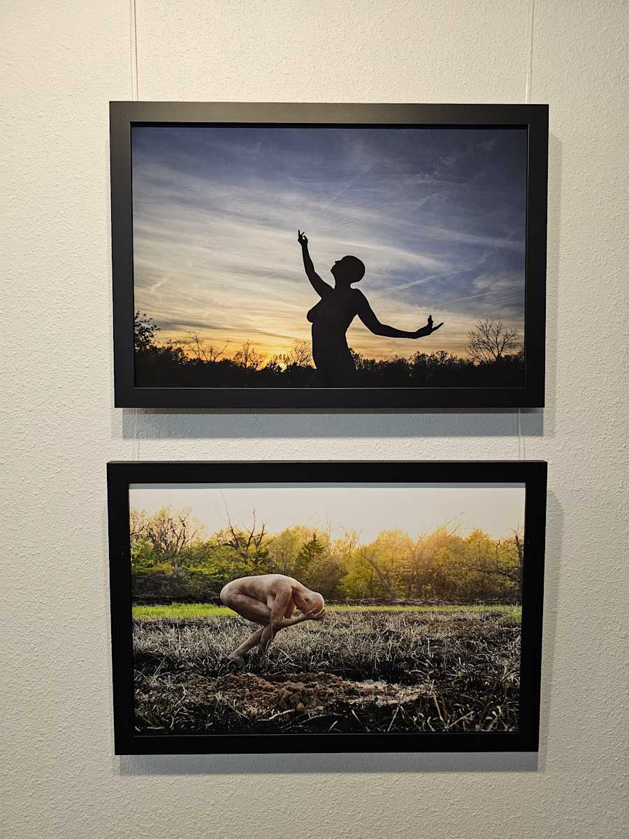 Exhibition Image