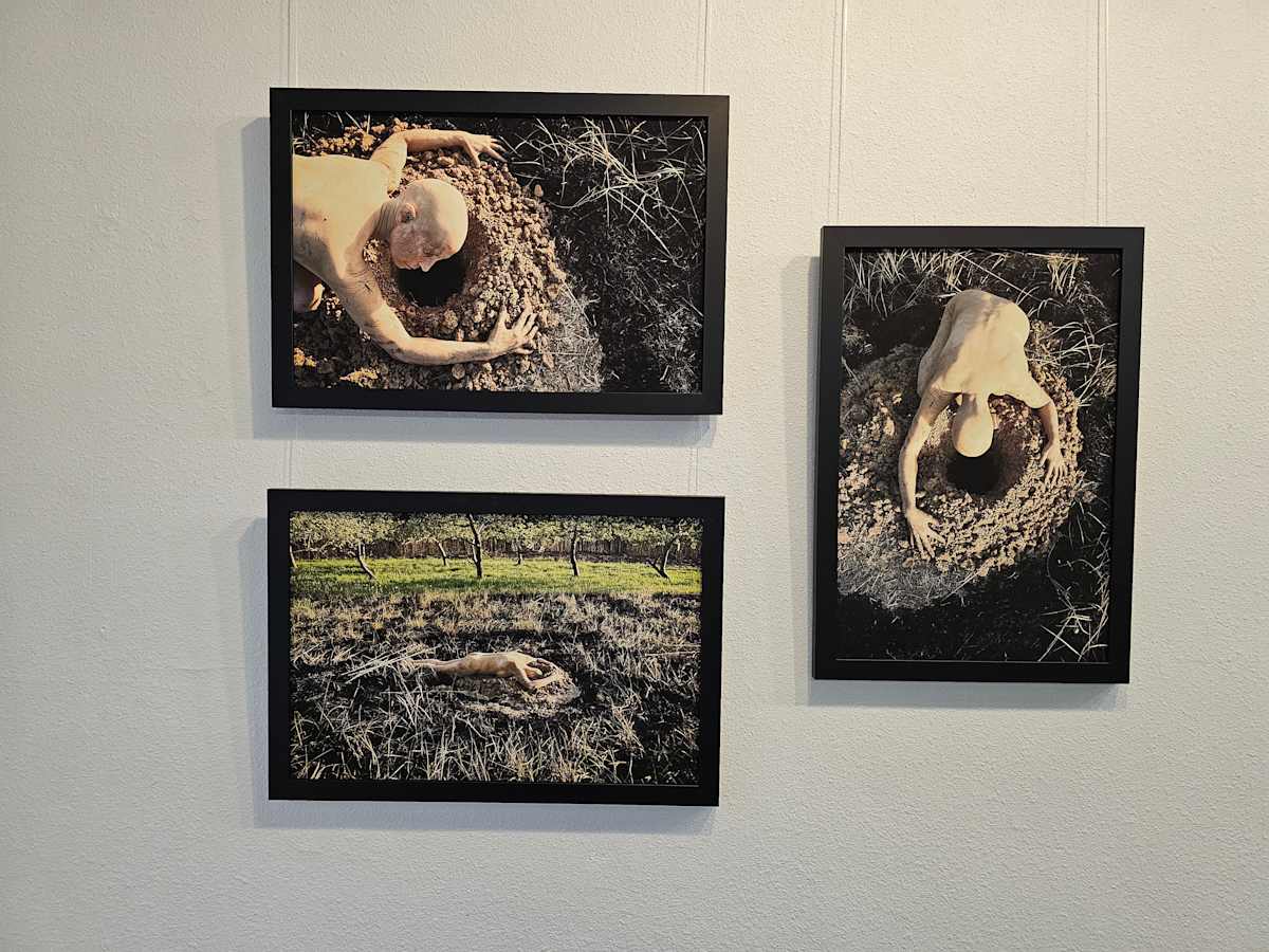 Exhibition Image