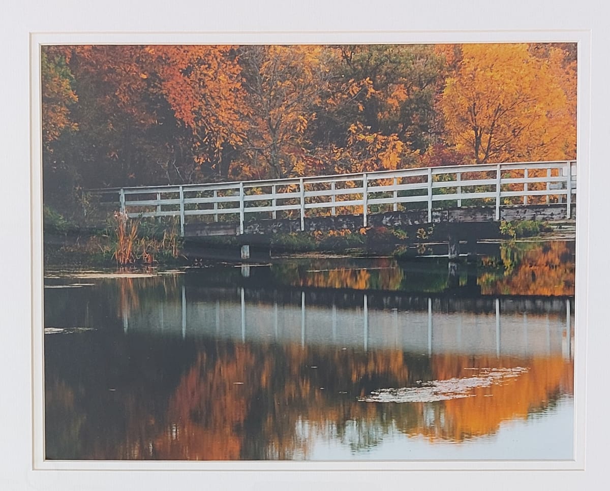 The Showing of the Coming of Winter by Marc Wallace 