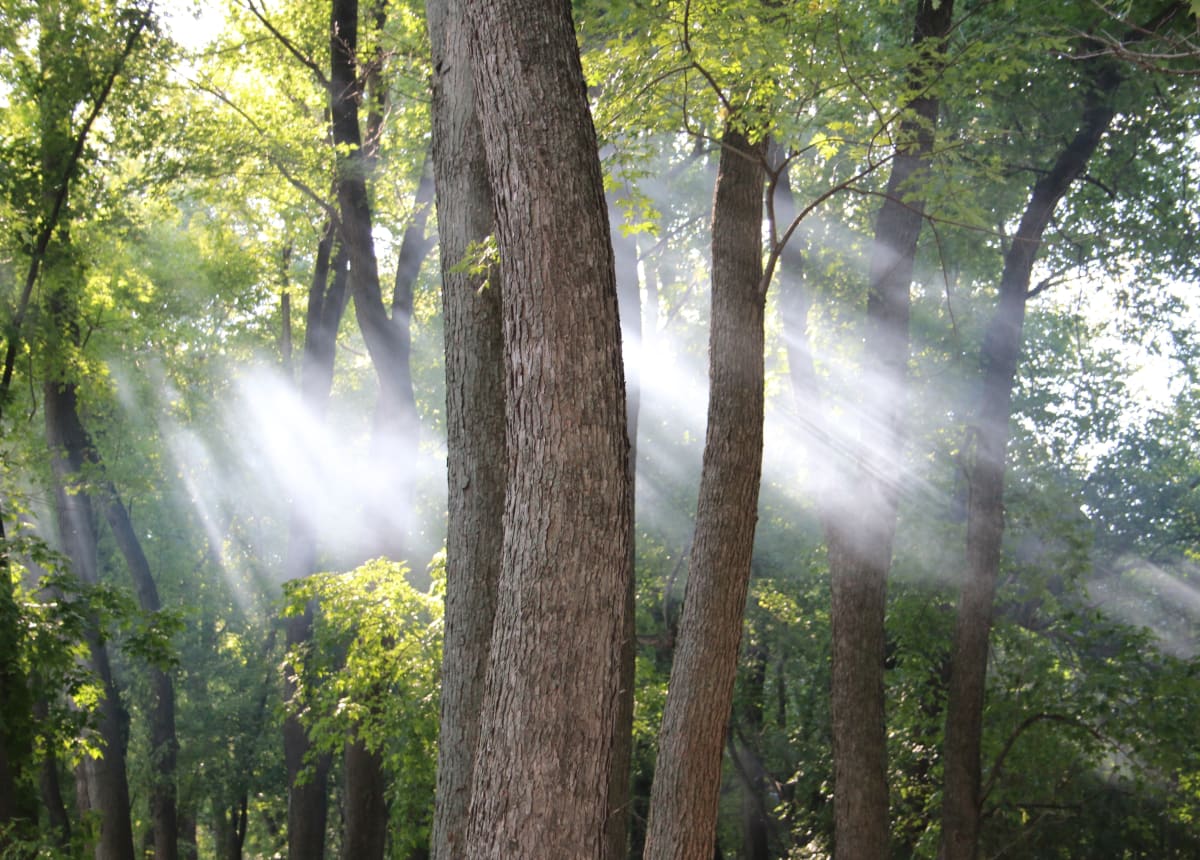 Smoke and Sunrays by Beth Steeples 