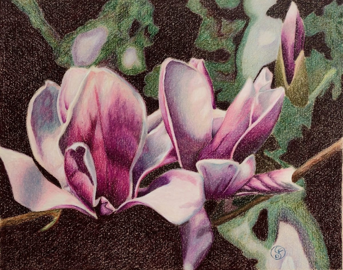 Magnolia Blossom by Danna Fruetel, Image 1.