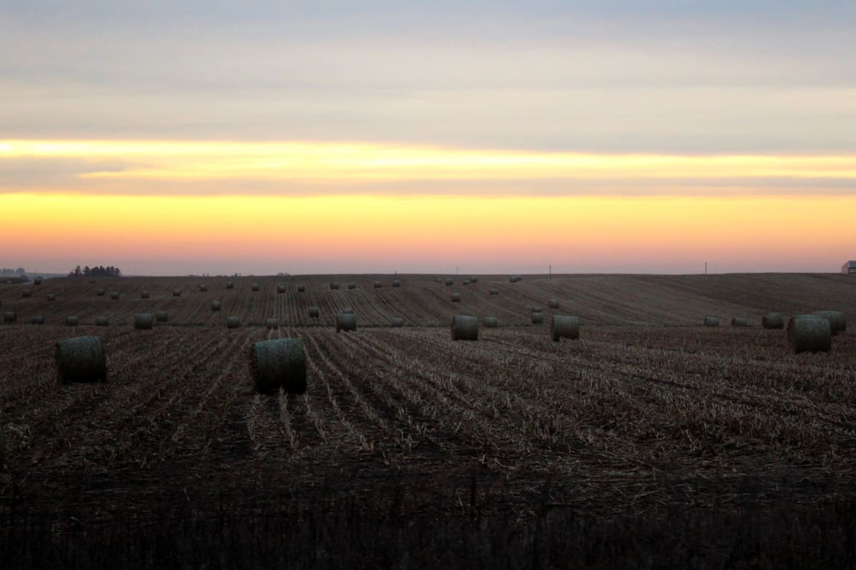 Hay Bales by Amy Clark 