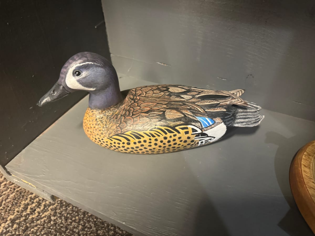Blue-Winged Teal by Kent Strabala 