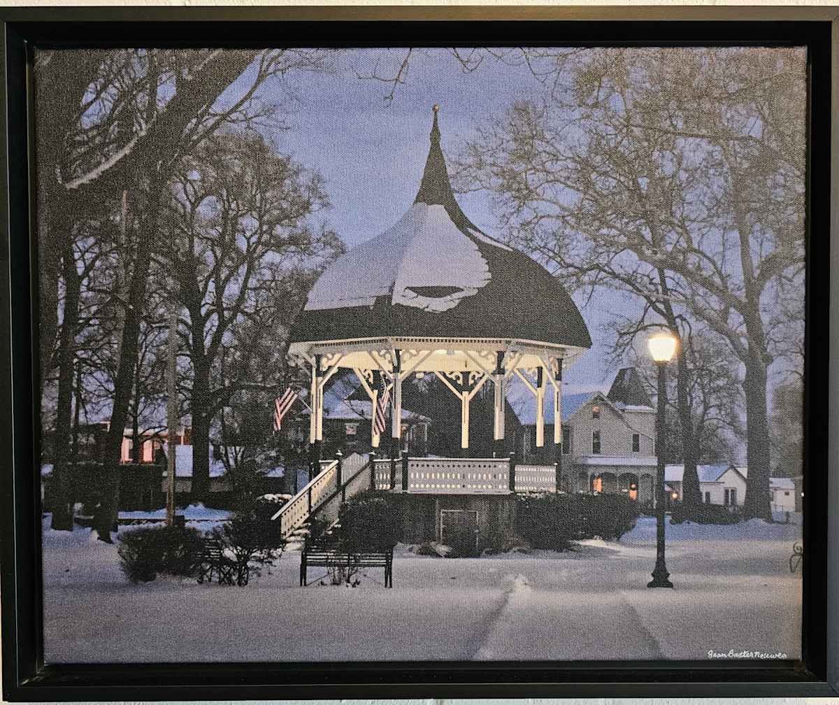 A Snowy Day In Old Settlers Park by Jean Baxter Neuweg 