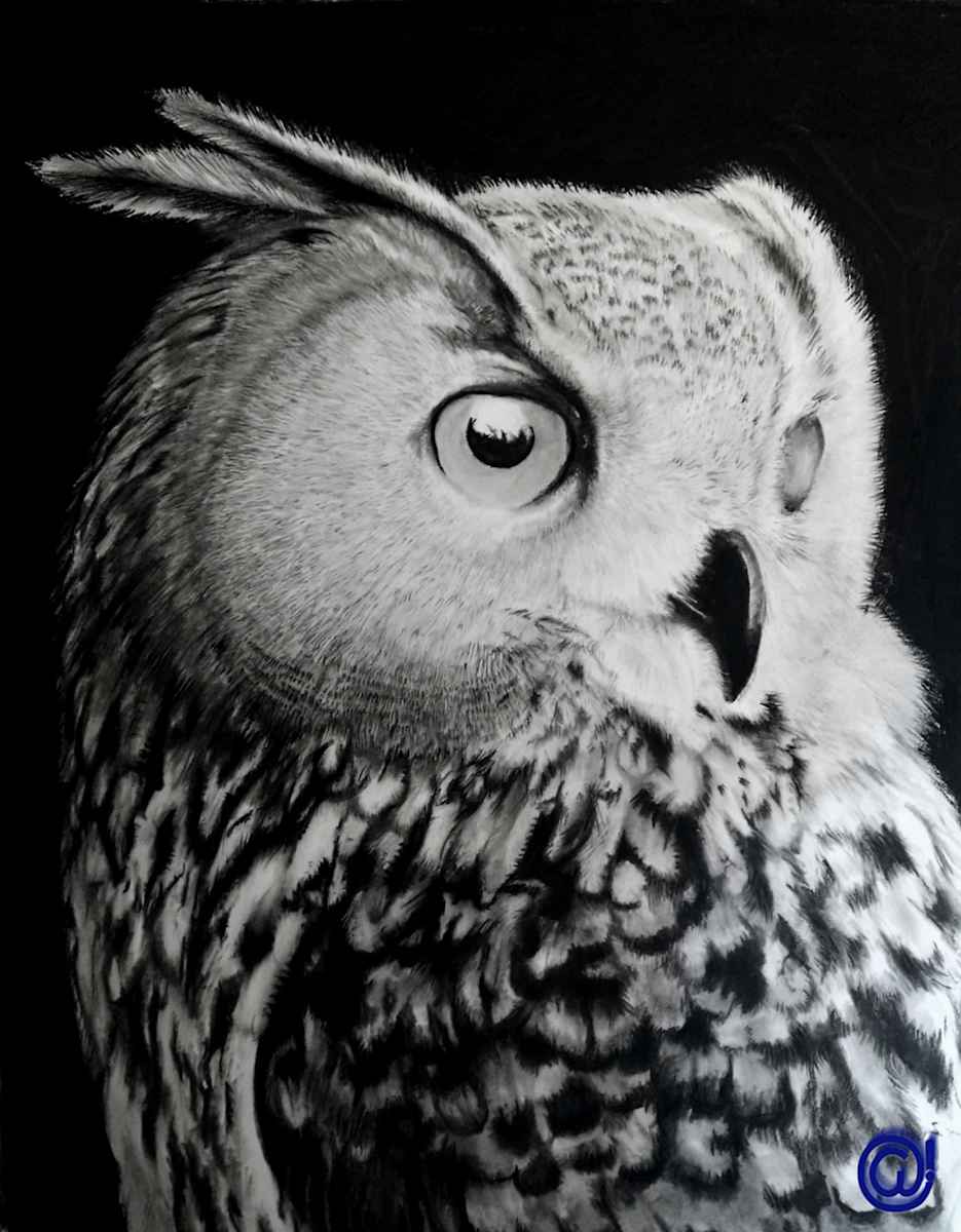 Nightwatch by Anthony Franklin 