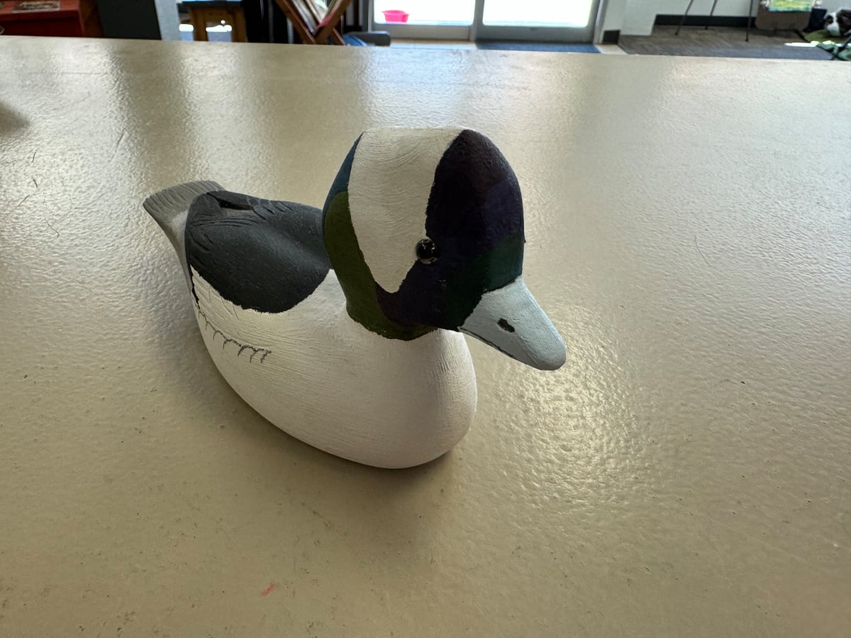 Bufflehead Duck by Ellsworth Dodds 