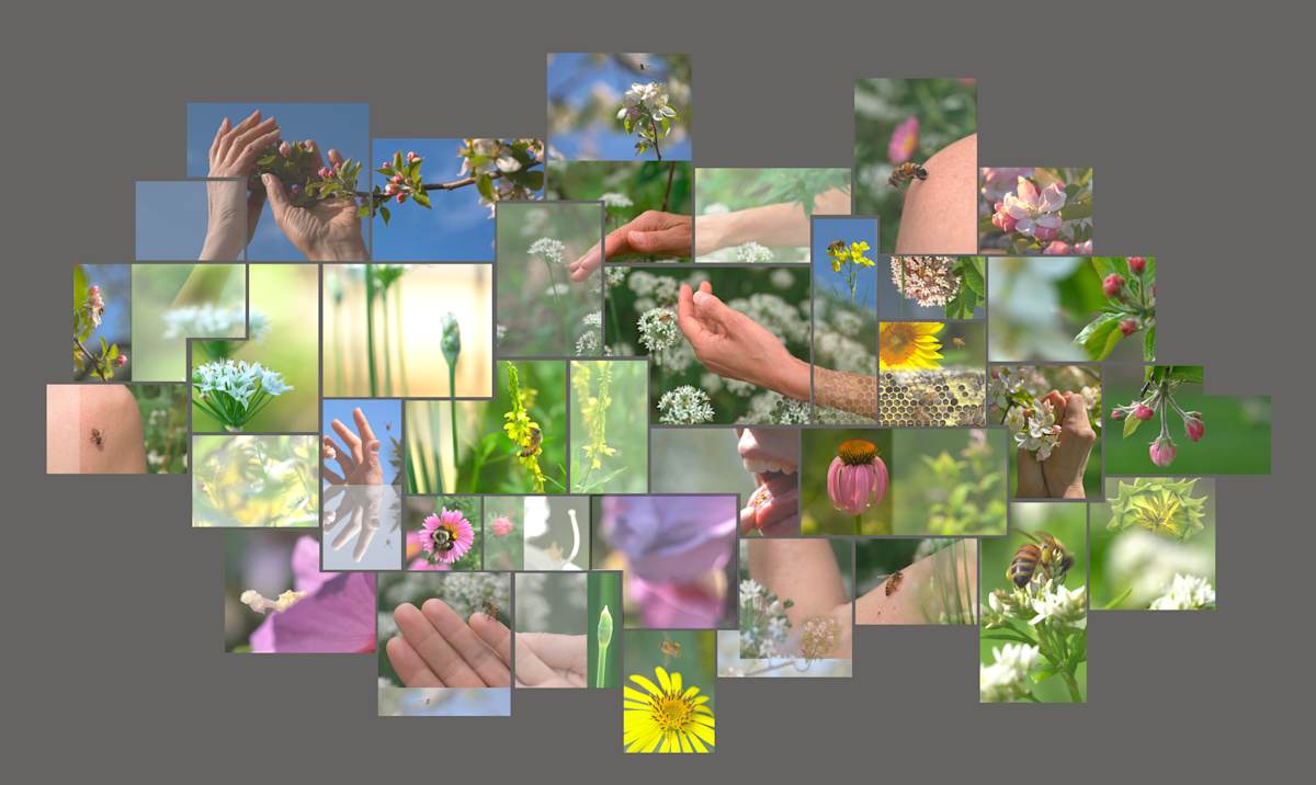 "consider her [many] ways" by Cherie Sampson, Image 1.