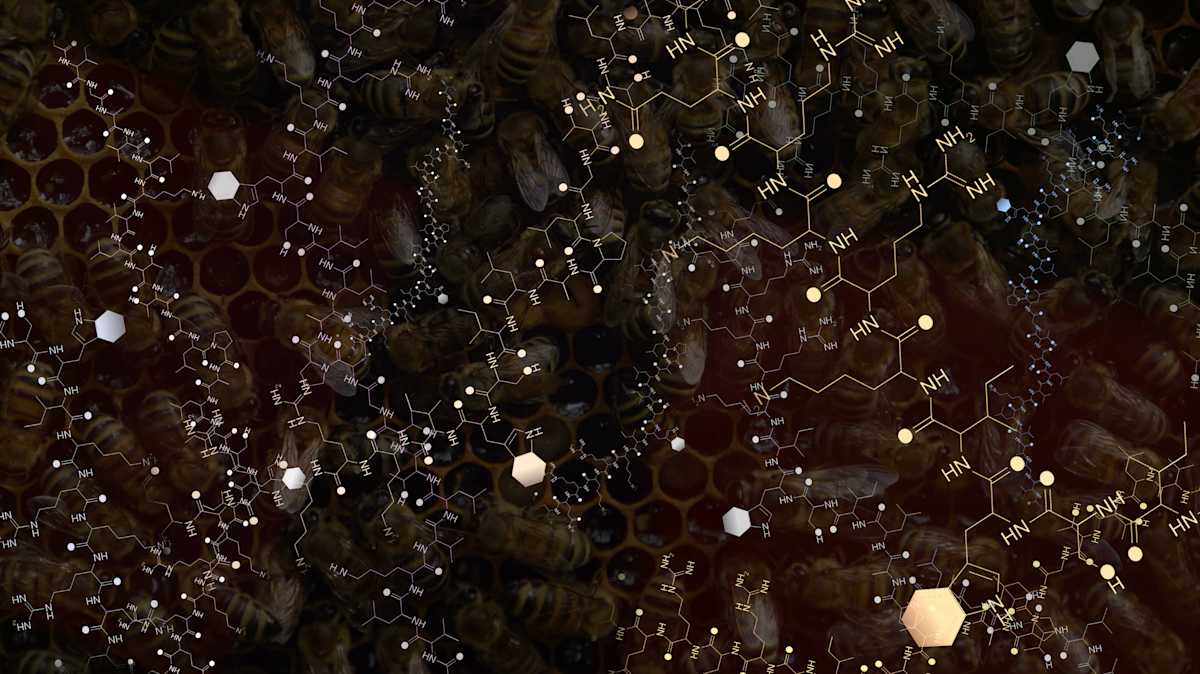 "Into the Surgery" by Cherie Sampson, Image 1.