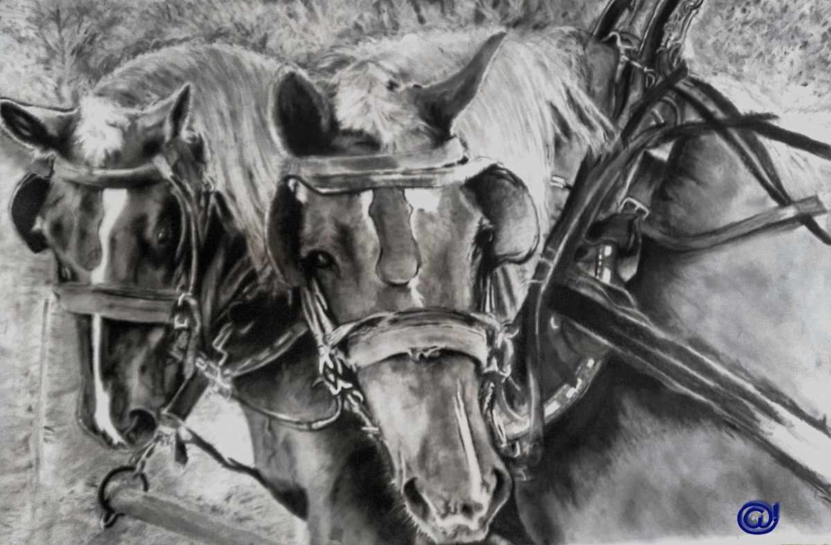 Teamwork by Anthony Franklin, Image 2.