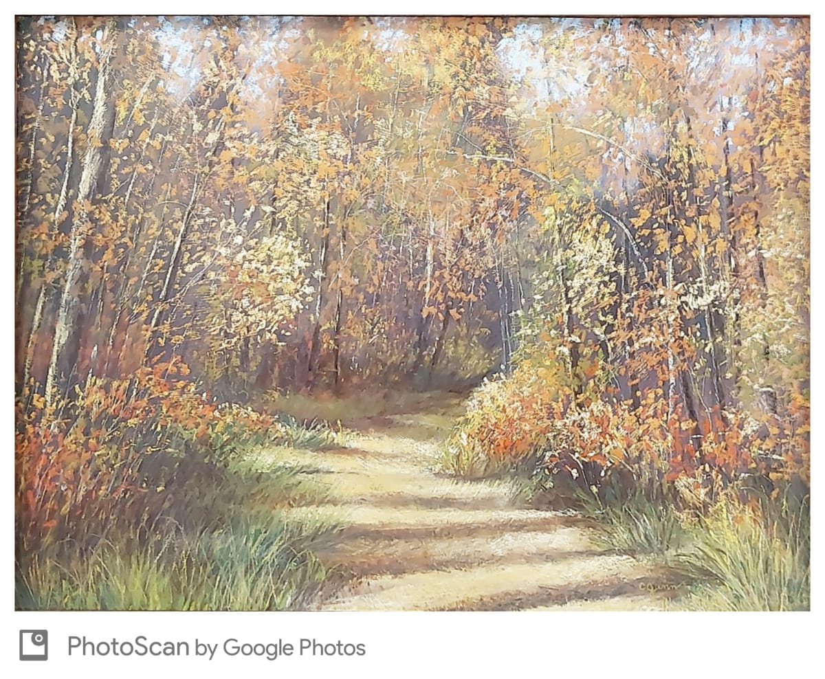 Lacey Trail by Carol Gunn 