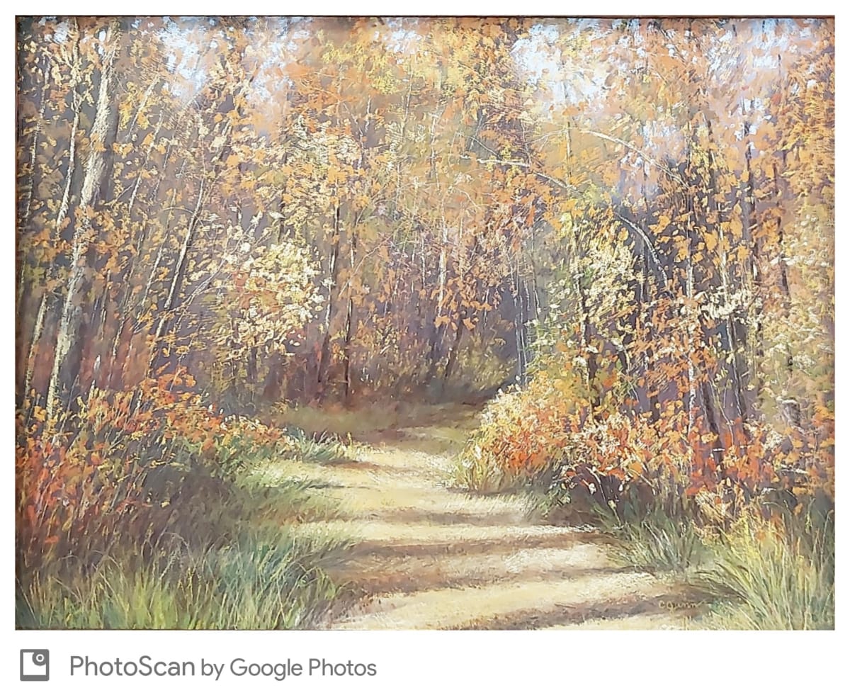 Lacey Trail by Carol Gunn, Image 1.