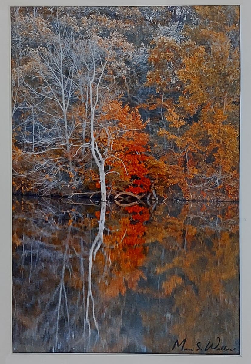 Fall Reflection by Marc Wallace 