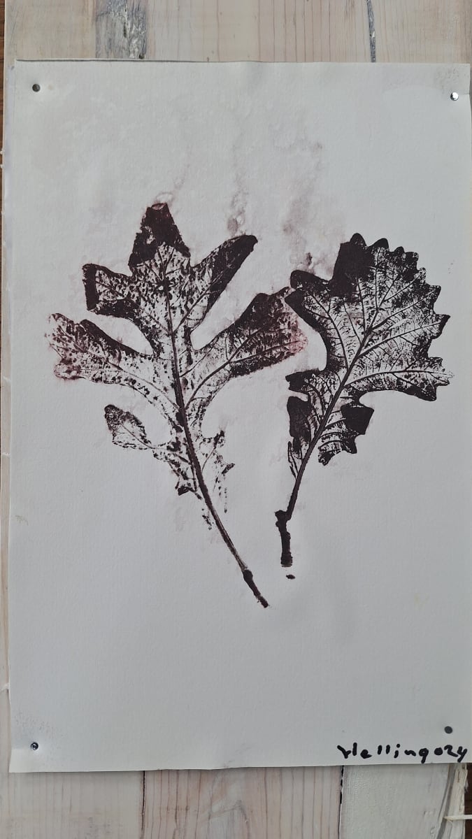 Fall Leaves by Steve Helling 