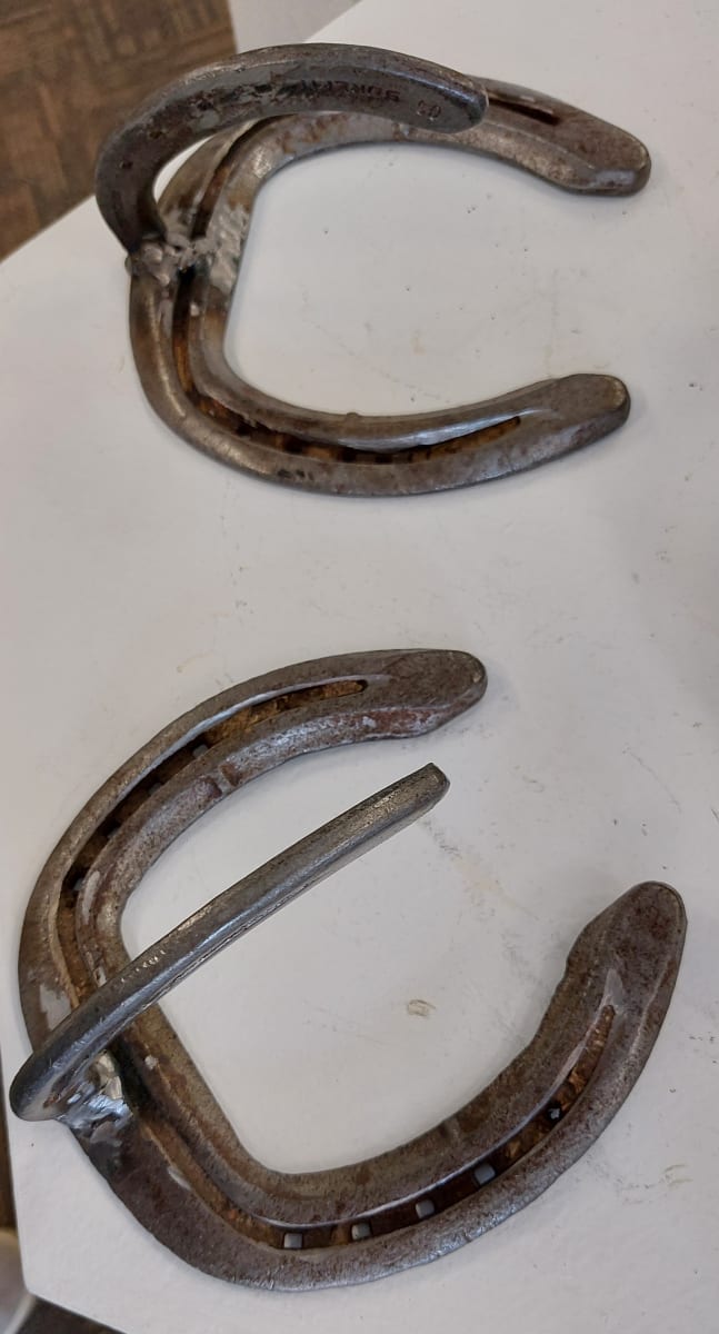 Horseshoe Coat Hangers by Curt Swarm, Image 1.