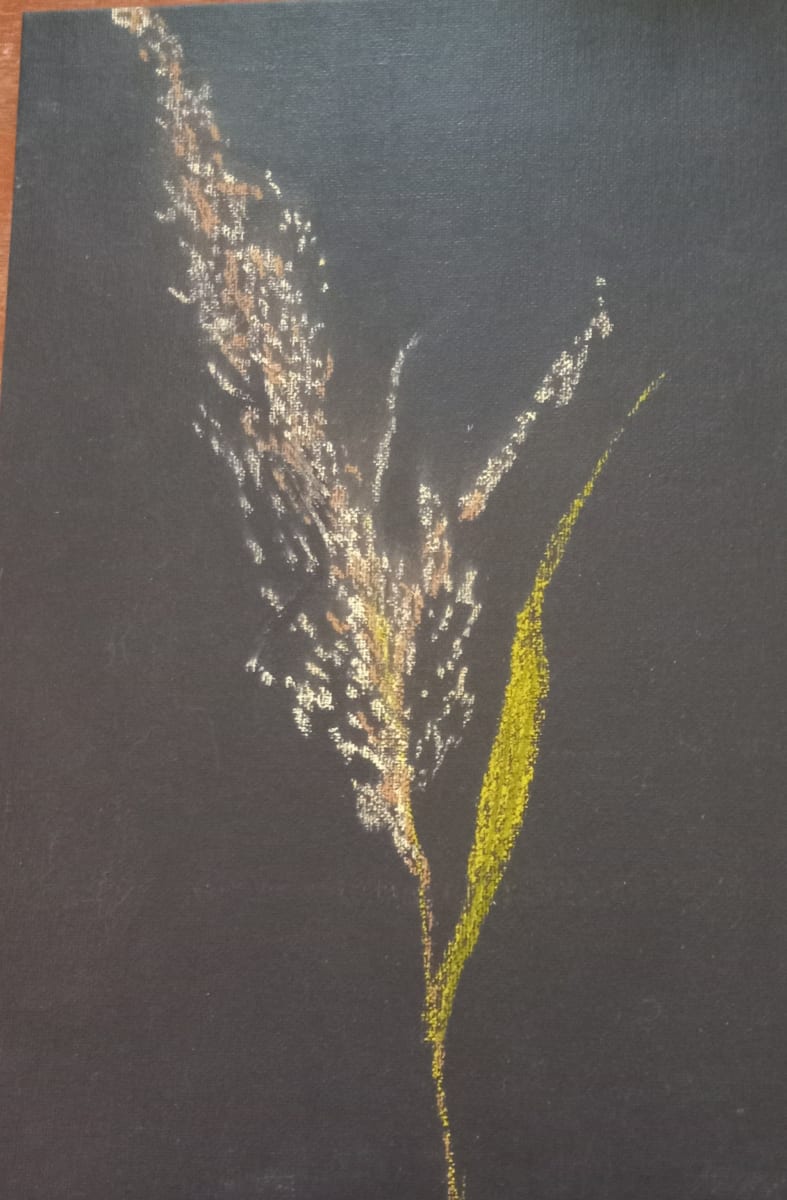 Shades of Brown by Lora Kelly-Benck, Image 1.