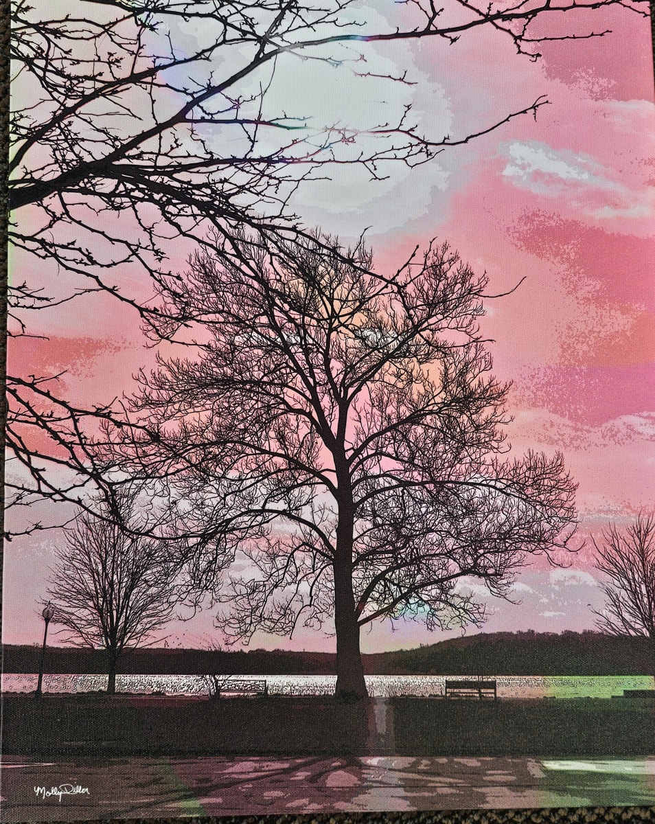 Pink Rays by Molly Dillon 
