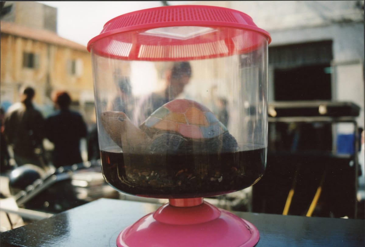 MeiZav by Shlomit Lehavi 