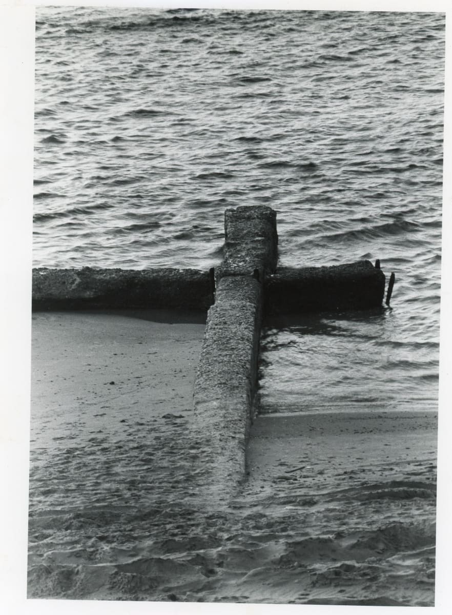 Cry Wolf (detail) by Shlomit Lehavi  Image: Photo Credit: Shlomit Lehavi 