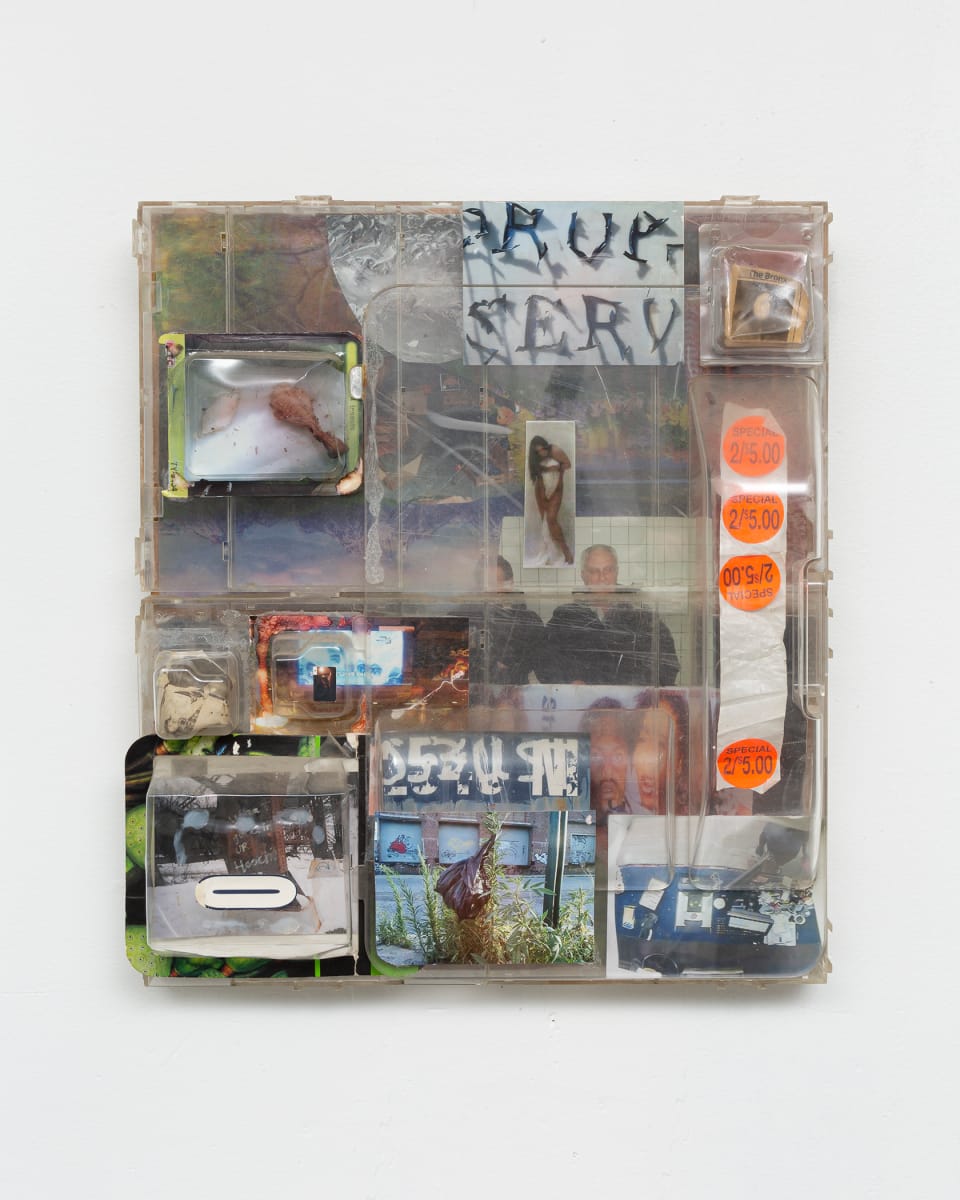 T.S. - 9 by Taylor Sakarett 