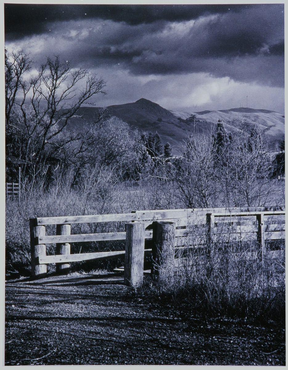 Mission Creek Footbridge by Alvin Dockter 