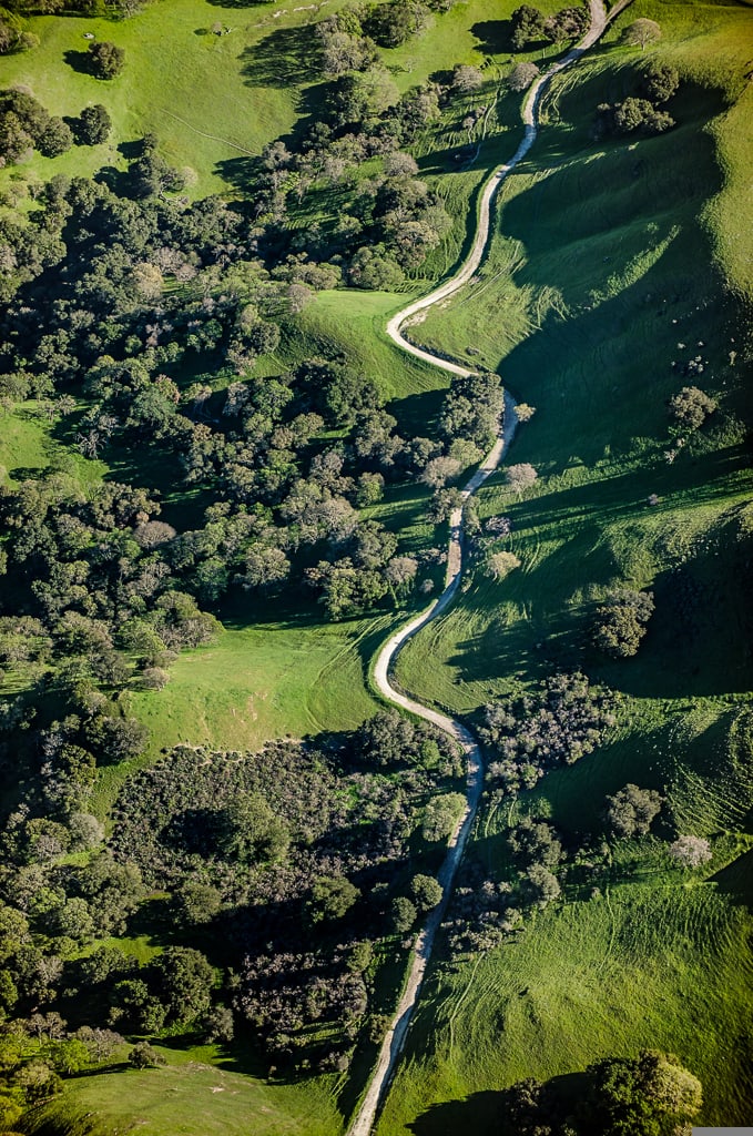 Rural Road Near San Antonio Reservoir by Barrie Rokeach 