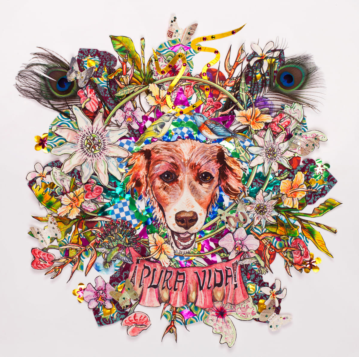 Milhouse: Pura Vida by Nancy Mizuno Elliott 