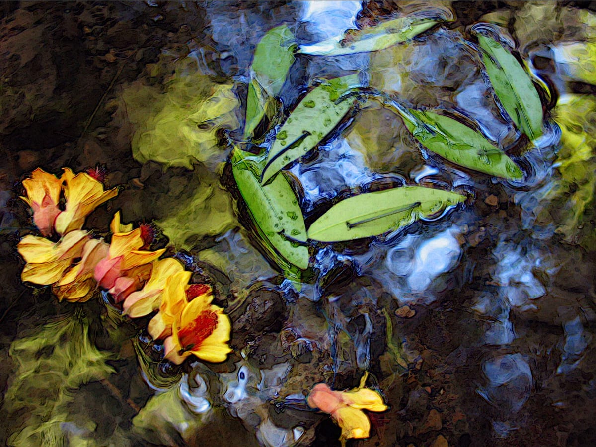 Water Flowers by Hagit Cohen 
