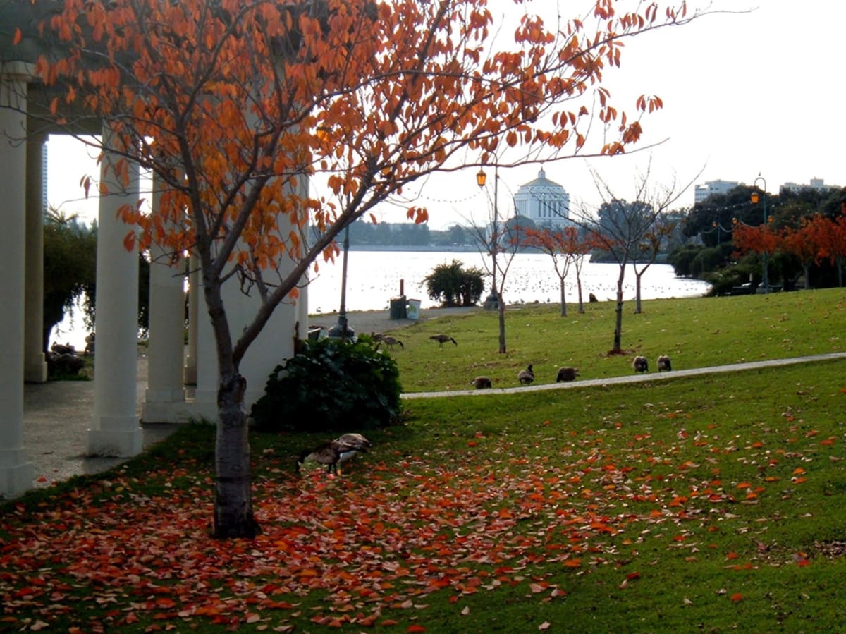 Autumn Gifts by Laura Sutta 