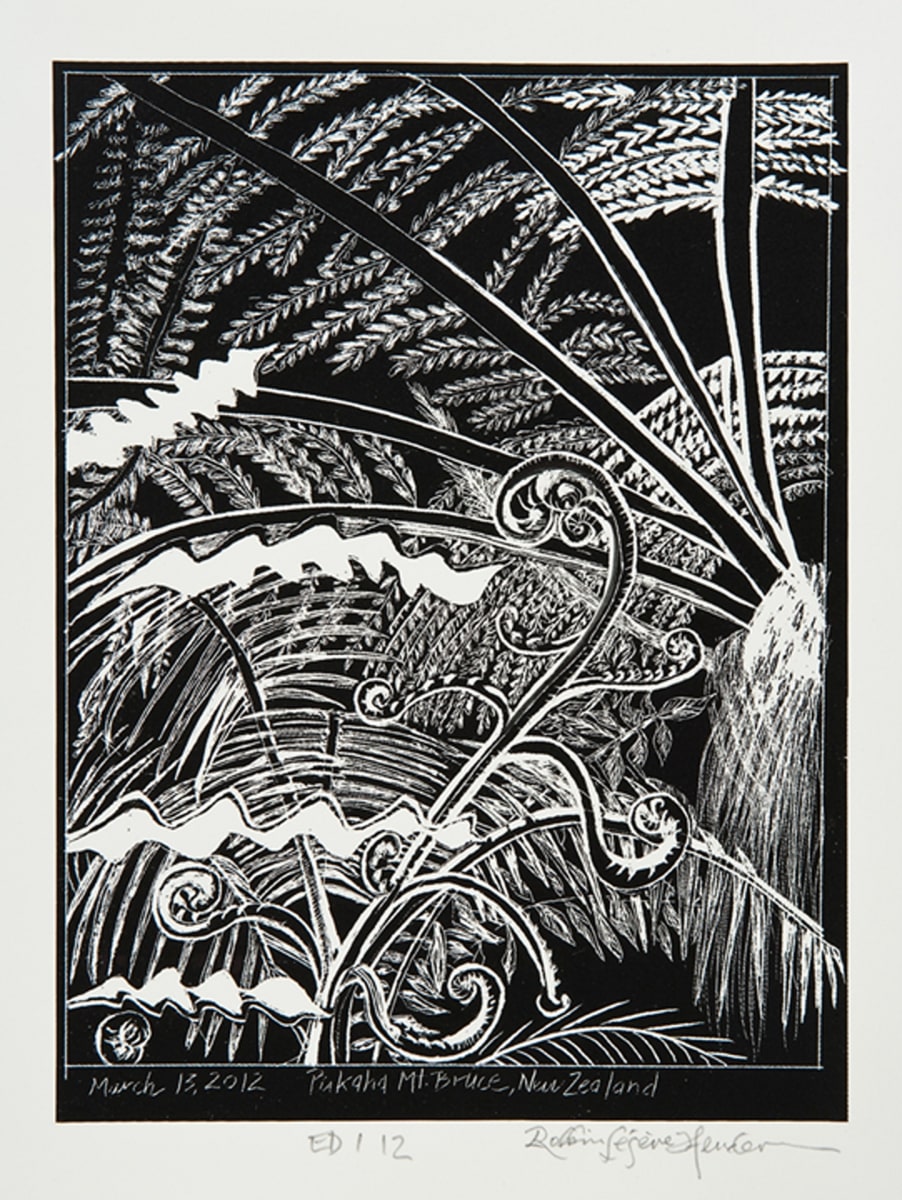 Ferns by Robbin Légère Henderson 