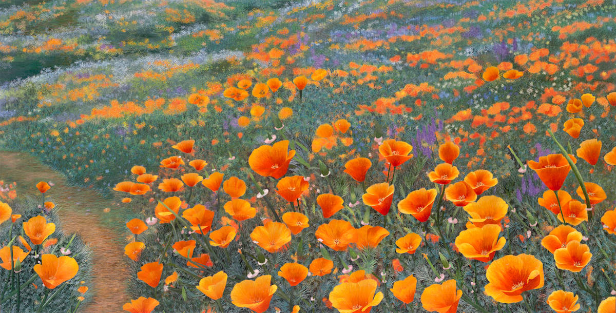 California Poppy Field by Yan Inlow 