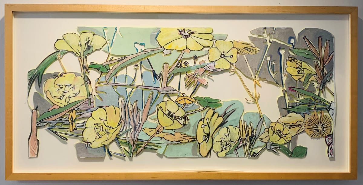 Proposal for Evening Primroses (Bay Area Plant Series) by Irène Pijoan 