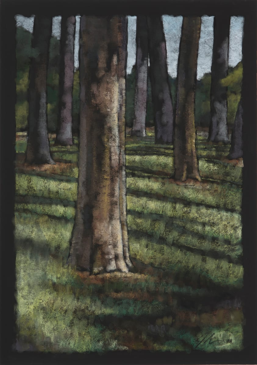In the Forest by Jean Sanchirico 
