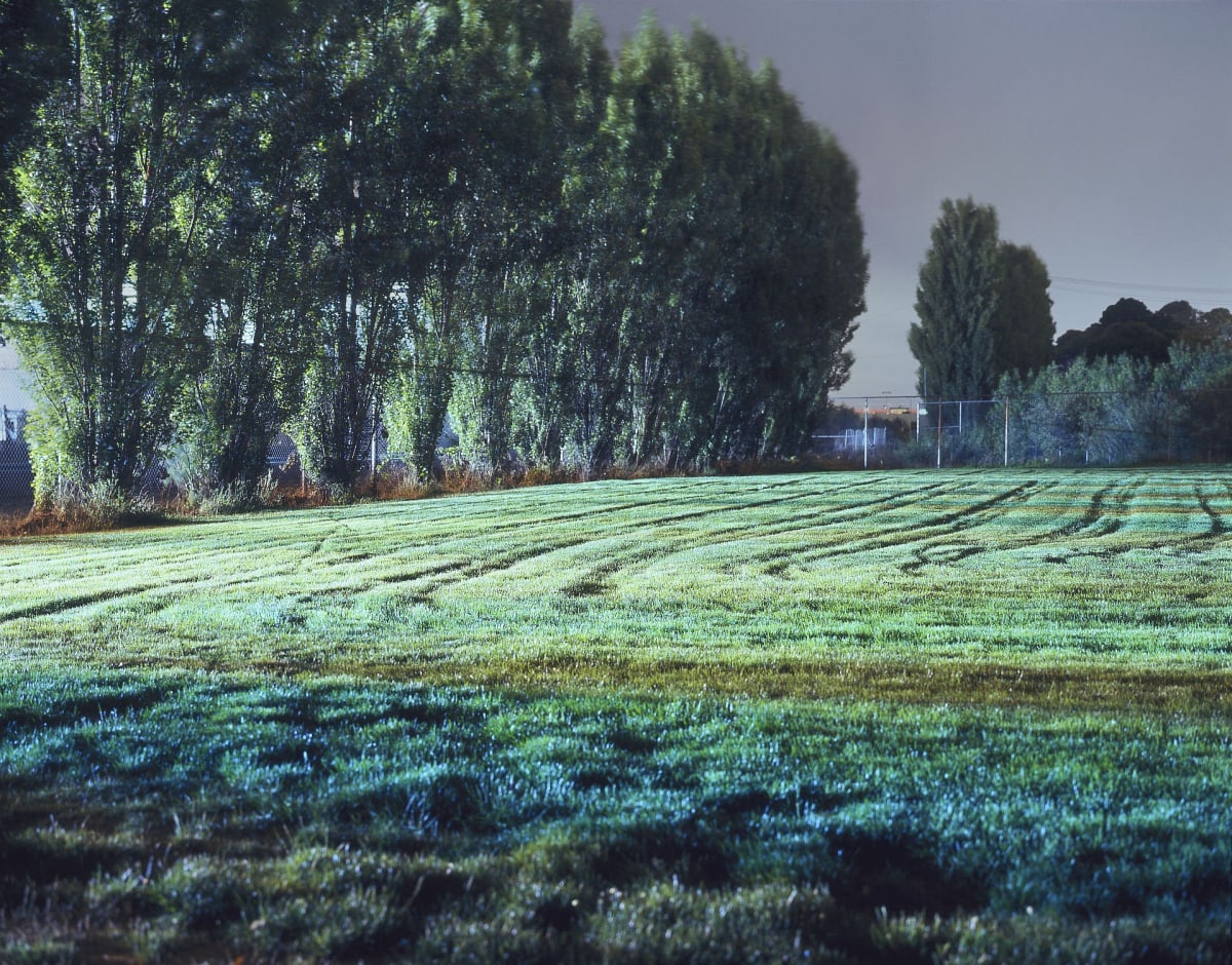 Tracks in Field by John Vias 