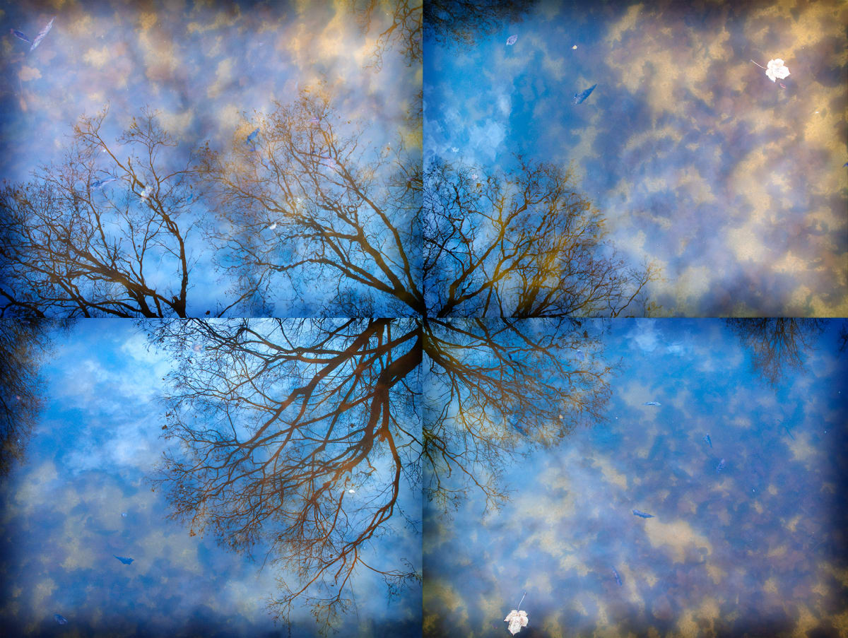 Fall in the Pool 01 by Hyeyoung Kim, Image 1.
