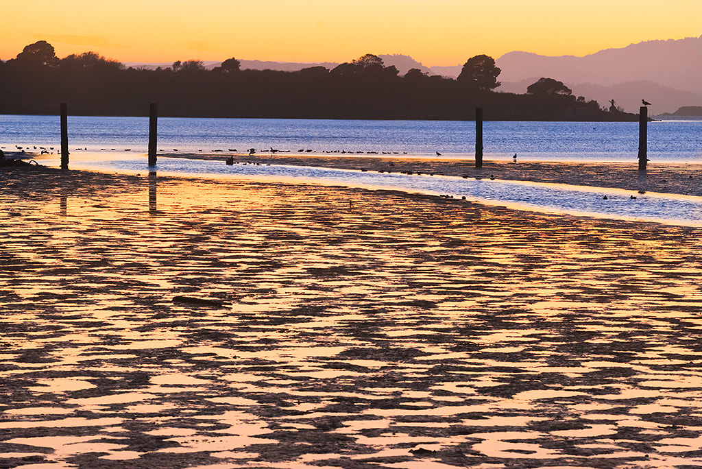 Light after Sunset on Albany Mudflats Ecological Reserve, Alameda County, California by Rob Badger, Image 1.