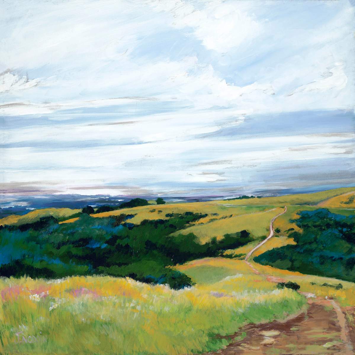 Hayward Hills Bay View by Jann Noddin 