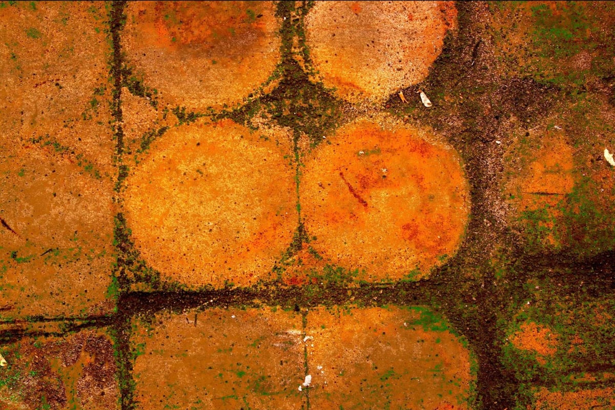 Loading Dock #5 by Jan Dove 